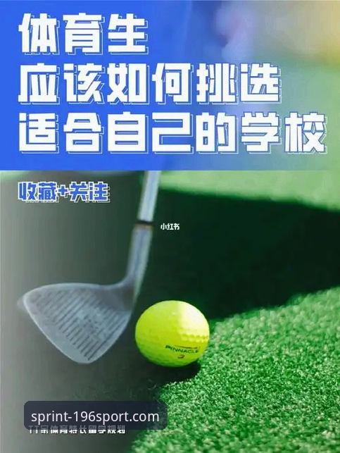 196体育官网下载 vs 官方平台安装：哪个更适合你？全面对比与教程指南